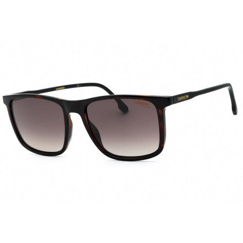 Carrera 231/S HVN/Brown SF Sunglasses