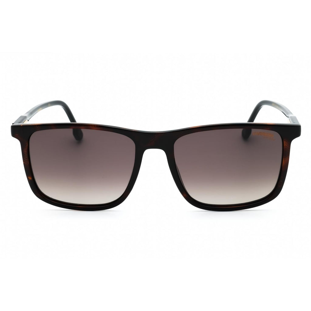 Carrera 231/S HVN/Brown SF Sunglasses