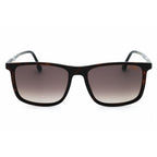 Carrera 231/S HVN/Brown SF Sunglasses