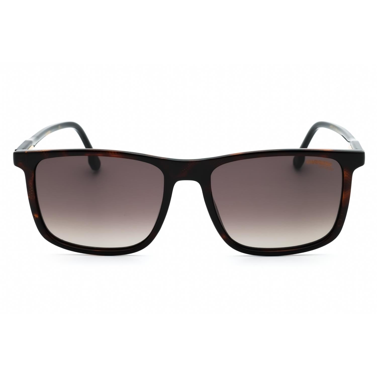 Carrera 231/S HVN/Brown SF Sunglasses