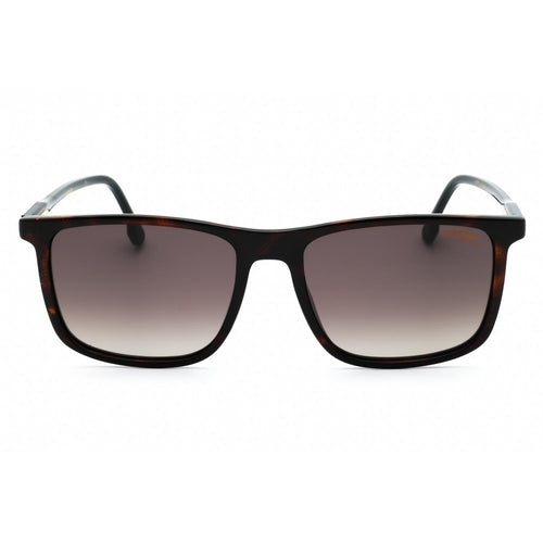 Carrera 231/S HVN/Brown SF Sunglasses
