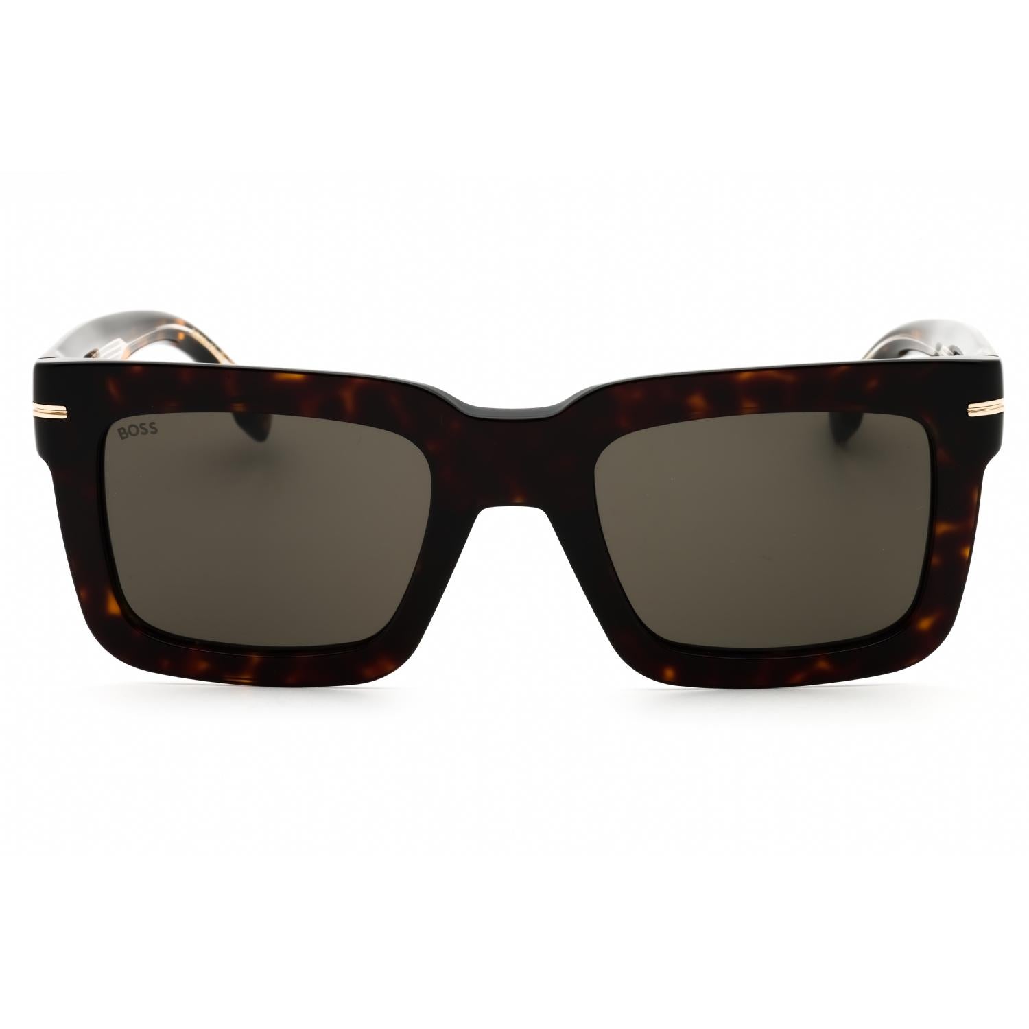 Hugo Boss BOSS 1501/S Havana Grey Sunglasses